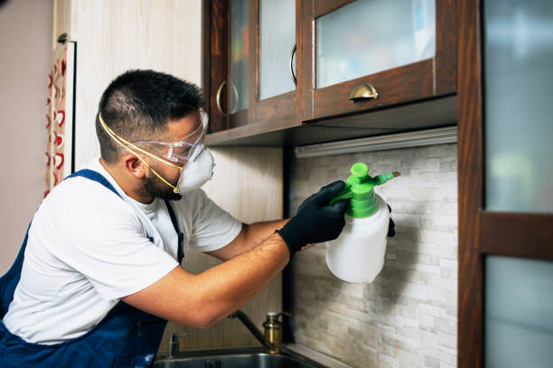 Best Residential Pest Control  in Phillips, WI