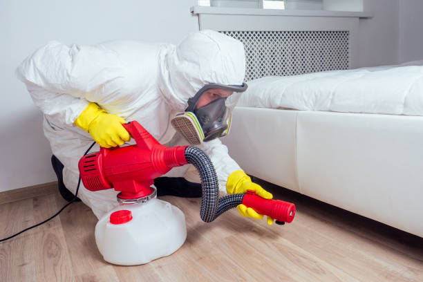 Best Local Pest Control Services  in Phillips, WI