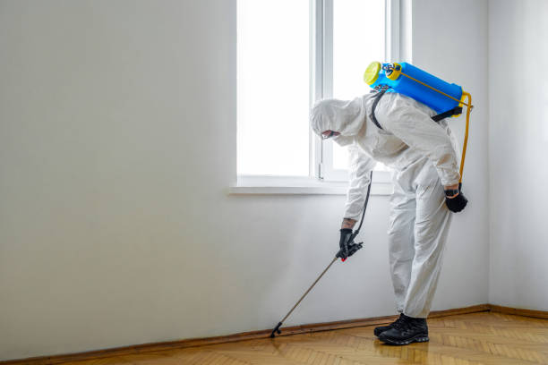 Best Mosquito Control Services  in Phillips, WI