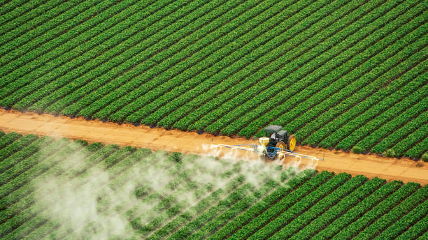 Best Commercial Pest Control Services  in Phillips, WI