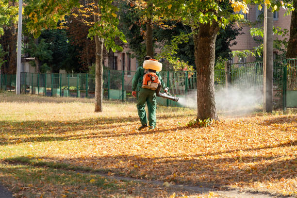 Best Mosquito Control Services  in Phillips, WI