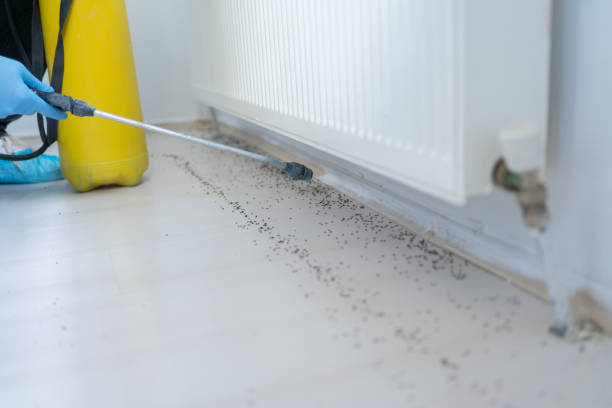 Best Emergency Pest Control  in Phillips, WI