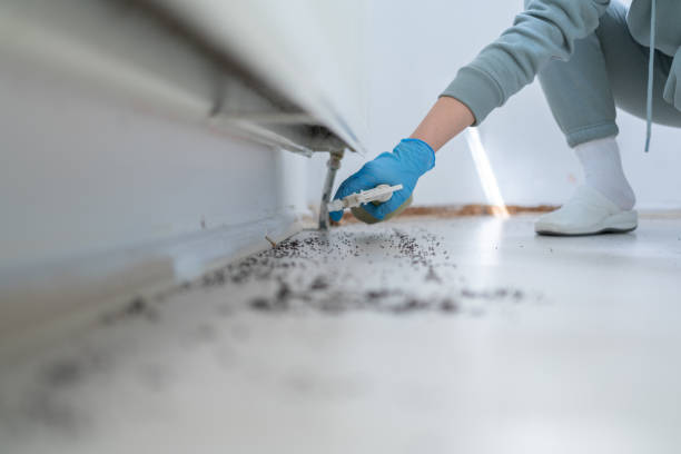 Best Pest Removal Services  in Phillips, WI