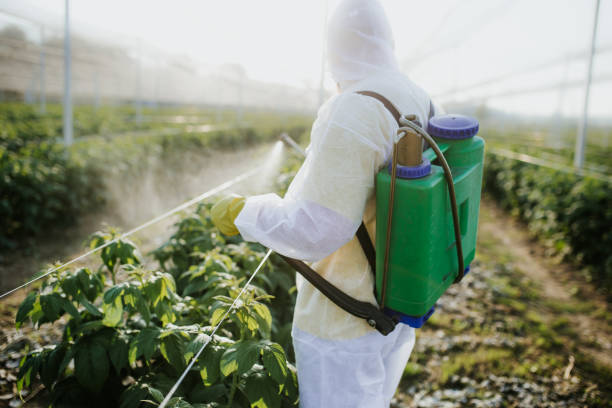 Best Pest Inspection Near Me  in Phillips, WI